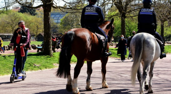 Mounted Police Are Still Very Useful Heres Why