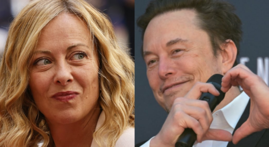 Musk the alliance of two conservatives with excessive ambitions –