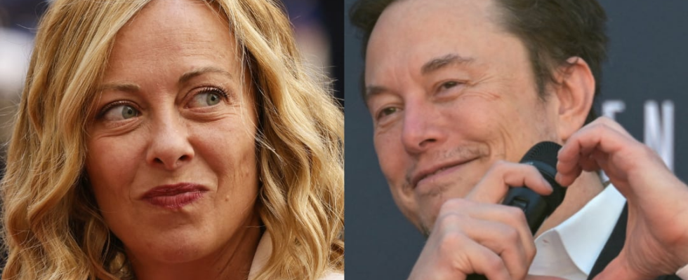 Musk the alliance of two conservatives with excessive ambitions –