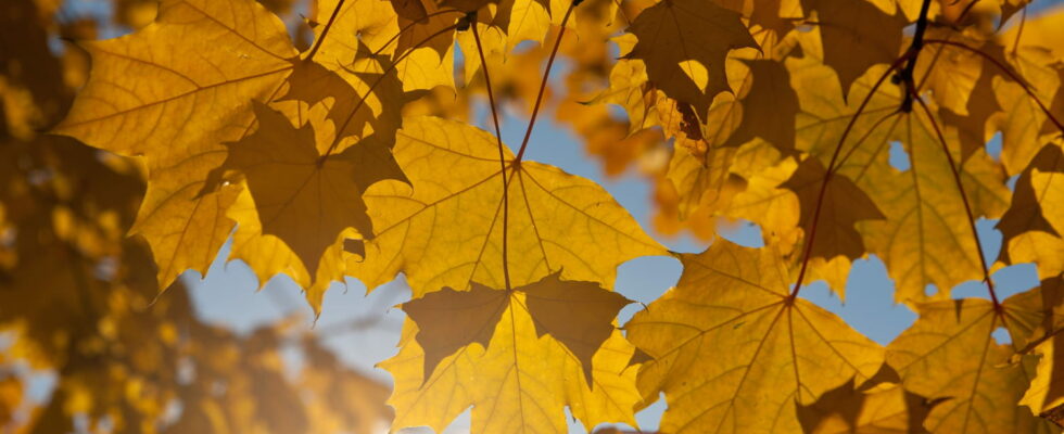 October and November weather forecasts are getting clearer details on