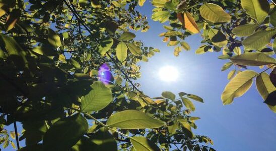 Officially warmest September 1 since measurements began