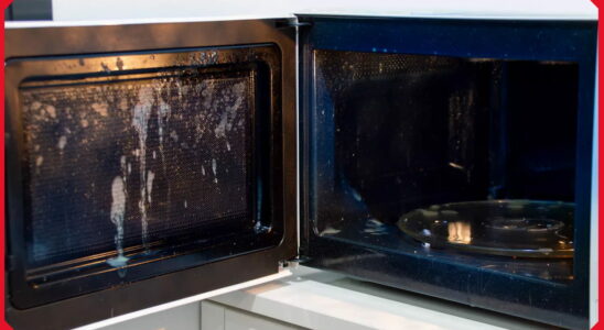 Over 100 Species of Bacteria Coexist in Your Microwave Dont