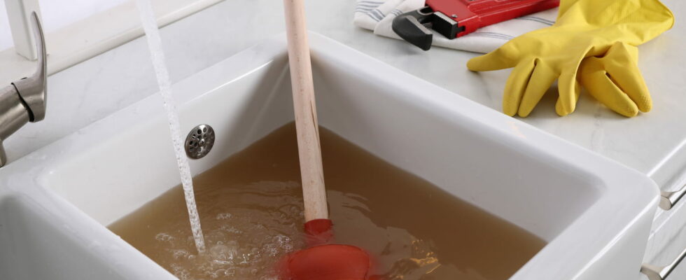 Plumbers Secret Tip This Simple Home Remedy Can Unclog a