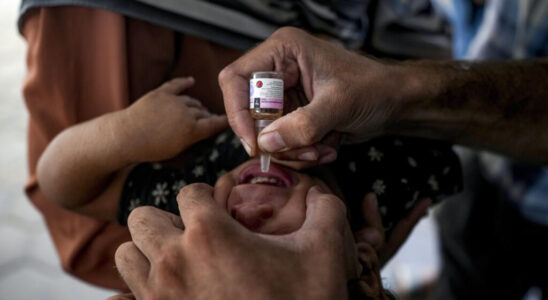 Polio vaccinations continue in Gaza Strip amid relative calm