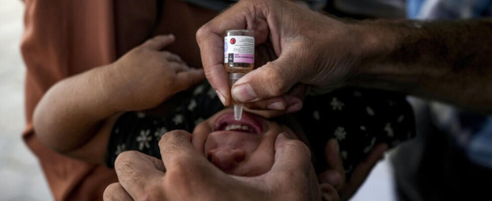 Polio vaccinations continue in Gaza Strip amid relative calm