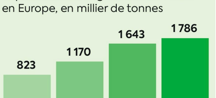 Putins formidable strategy to make French agriculture dependent – ​​LExpress