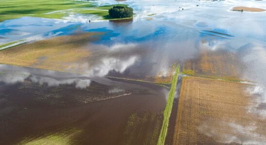 Rain controls ecosystems emissions of carbon dioxide