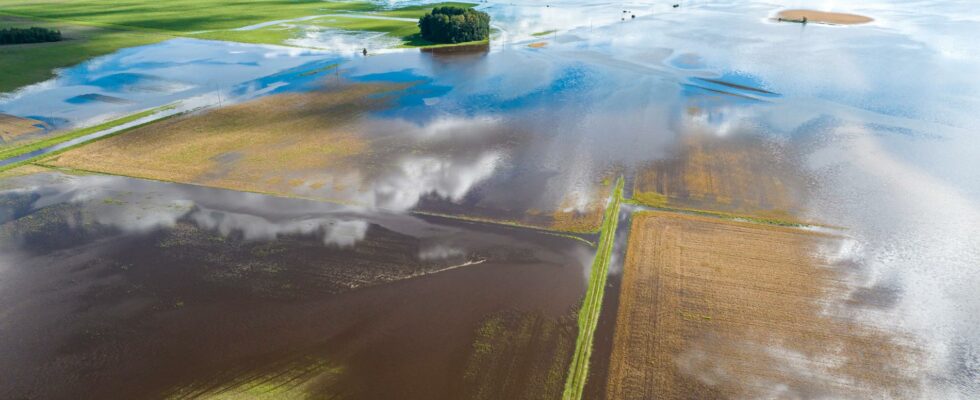 Rain controls ecosystems emissions of carbon dioxide