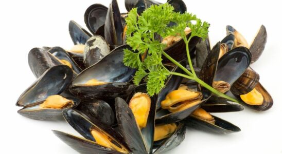 Recall of Bouchot mussels sold at Leclerc