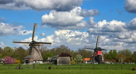 Restoration of Utrechts problem mills is running at full speed