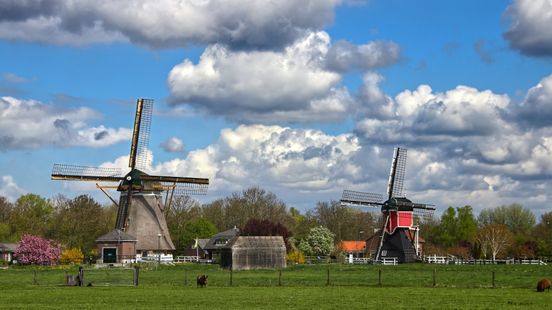 Restoration of Utrechts problem mills is running at full speed