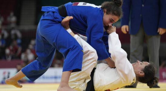 Sandrine Martinet flag bearer Athens Who is the para judo