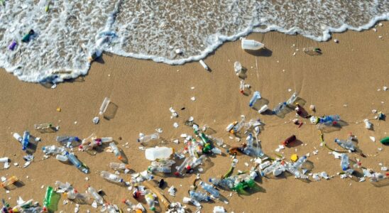 Satellites and algorithms searching for plastic in the Mediterranean