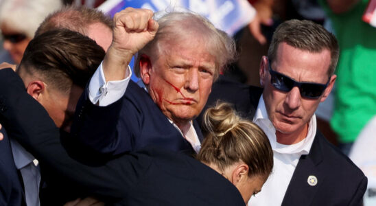 Secret Service Admits Negligence in First Assassination Attempt on Trump