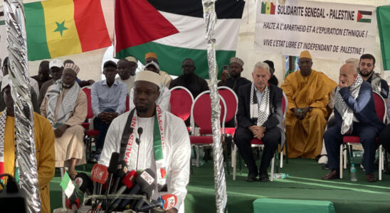 Senegal Prime Minister Ousmane Sonko participates in a mobilization of