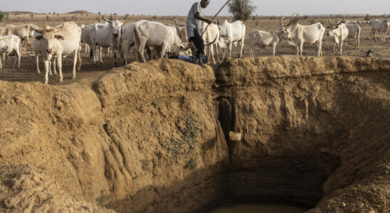 Senegal implements its project for access to water for all