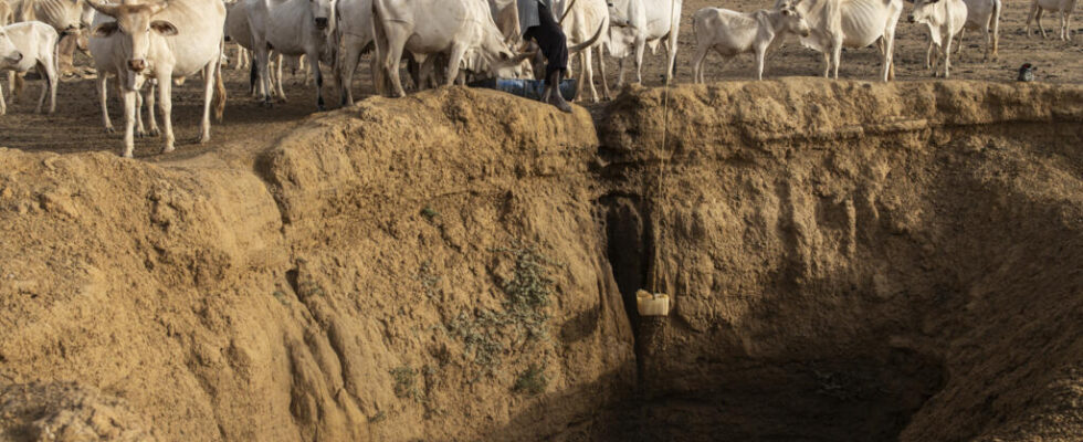 Senegal implements its project for access to water for all