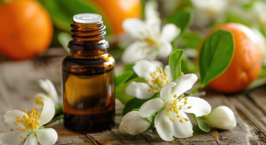 Soothing can neroli essential oil be dangerous