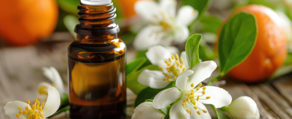 Soothing can neroli essential oil be dangerous