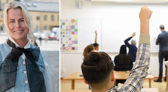 Swedens teachers rage against the budget Tondov