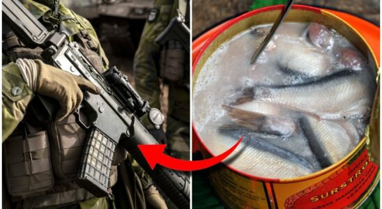 Swedish delicacy can be used as a weapon of war