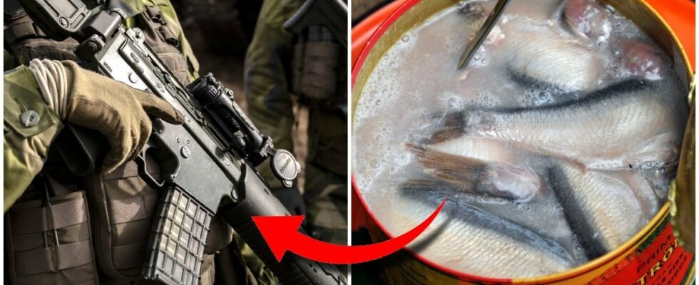 Swedish delicacy can be used as a weapon of war