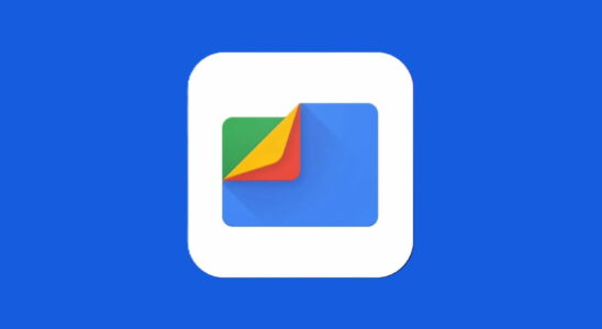 The PDF reader from the Files by Google file manager