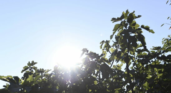 The heat is coming back but watch out for storms