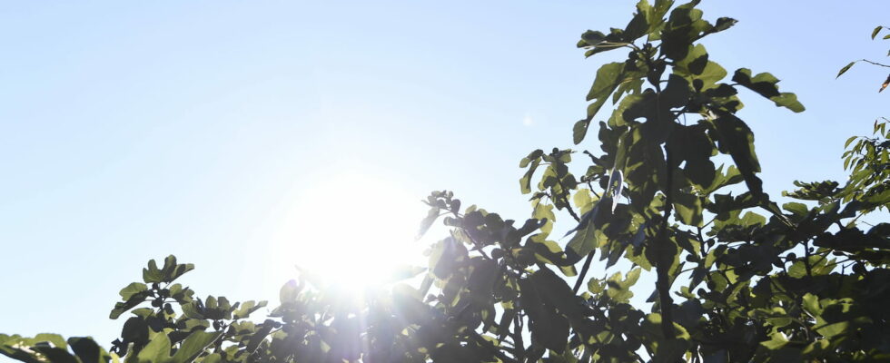 The heat is coming back but watch out for storms