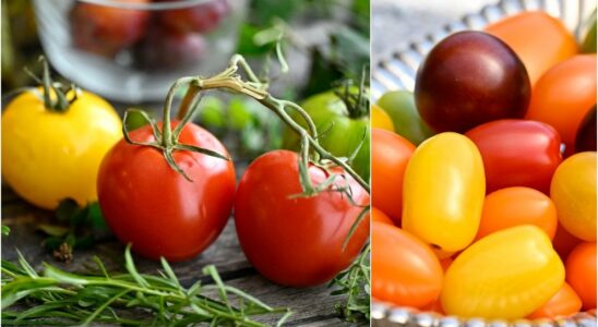 The secret trick that makes your tomatoes even tastier