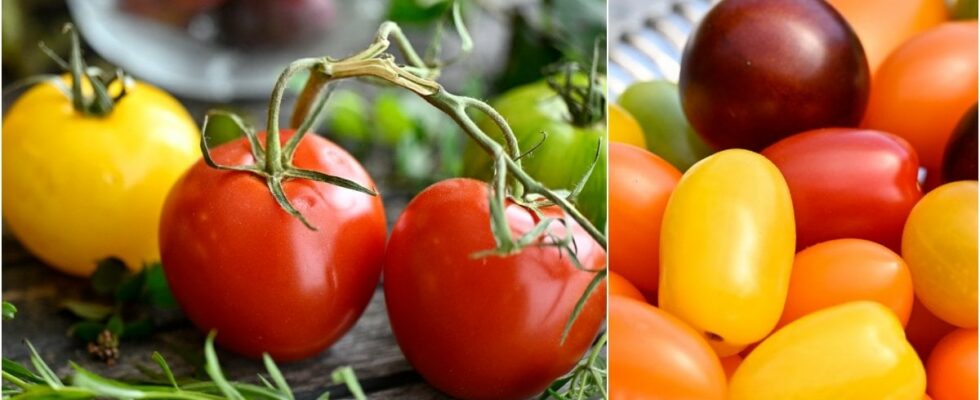 The secret trick that makes your tomatoes even tastier