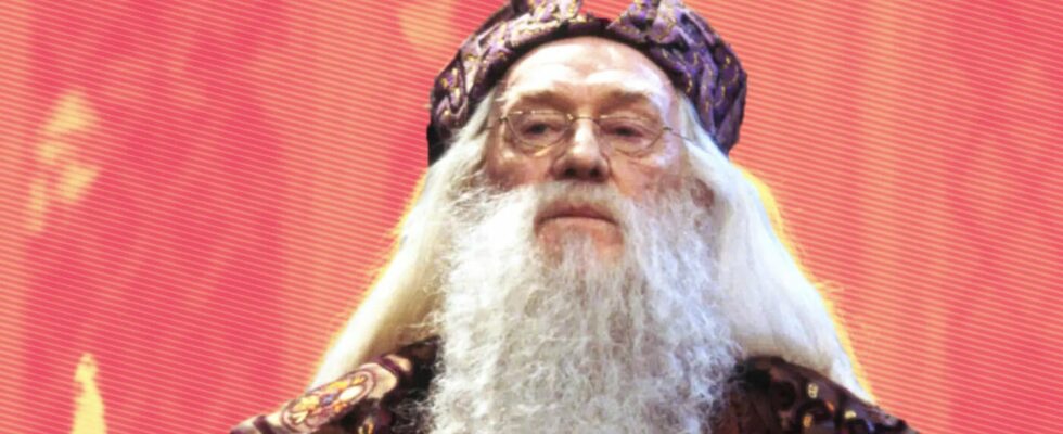 The son of the Dumbledore actor is also a famous