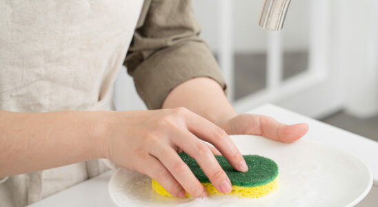 This is how often you should change your kitchen sponge