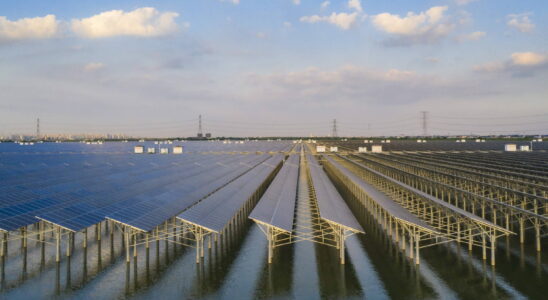 This solar panel park is big enough to power an