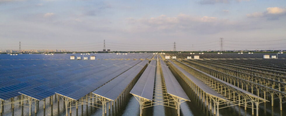 This solar panel park is big enough to power an