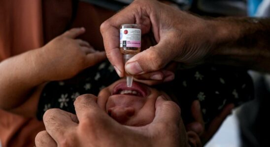 Vaccine effort in Gaza successful in first phase