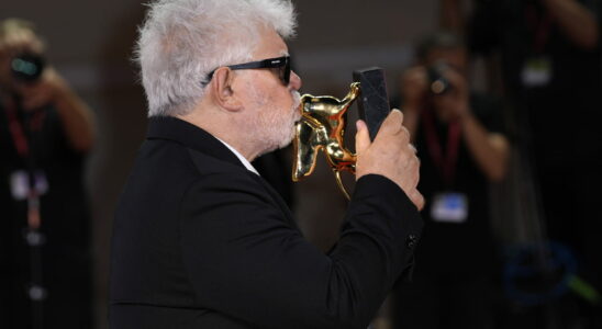 Venice Film Festival Which films won The complete 2024 list