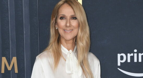 With her metallic makeup and wet hair Celine Dion turns