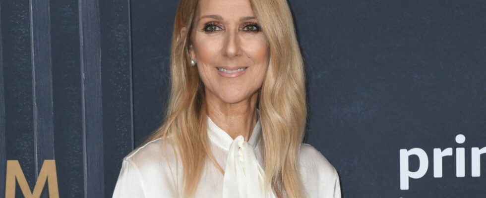 With her metallic makeup and wet hair Celine Dion turns