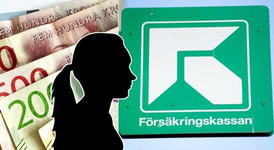 Woman received SEK 234000 from Forsakringskassan by mistake