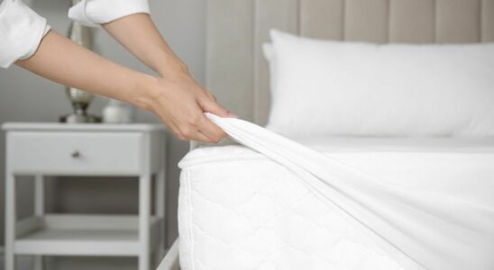 Your Mattress Is Home to These Harmful Microorganisms Heres How