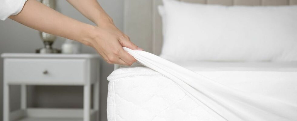 Your Mattress Is Home to These Harmful Microorganisms Heres How