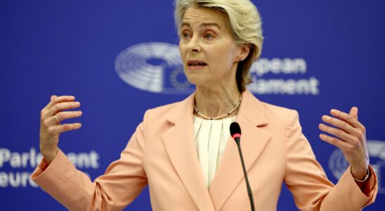 and Ursula von der Leyen invented the Tonton flingueurs version