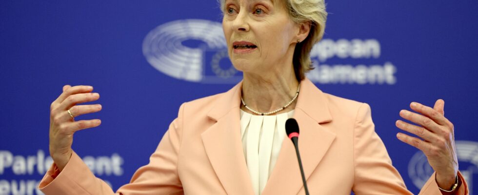 and Ursula von der Leyen invented the Tonton flingueurs version