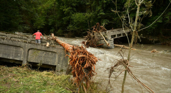 natural solutions to flooding