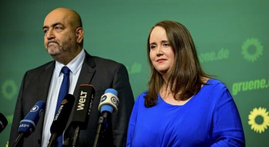 the Greens plunged into a deep crisis after a series