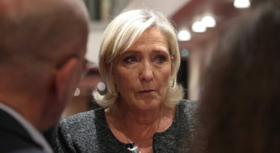 these accusations of fictitious jobs which shake Marine Le Pen