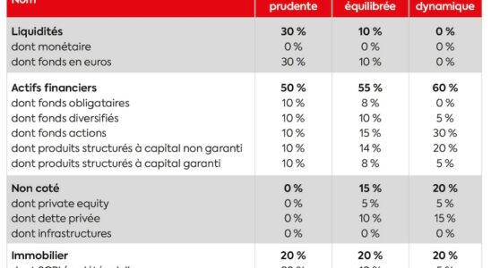 why it is essential to diversify your assets – LExpress