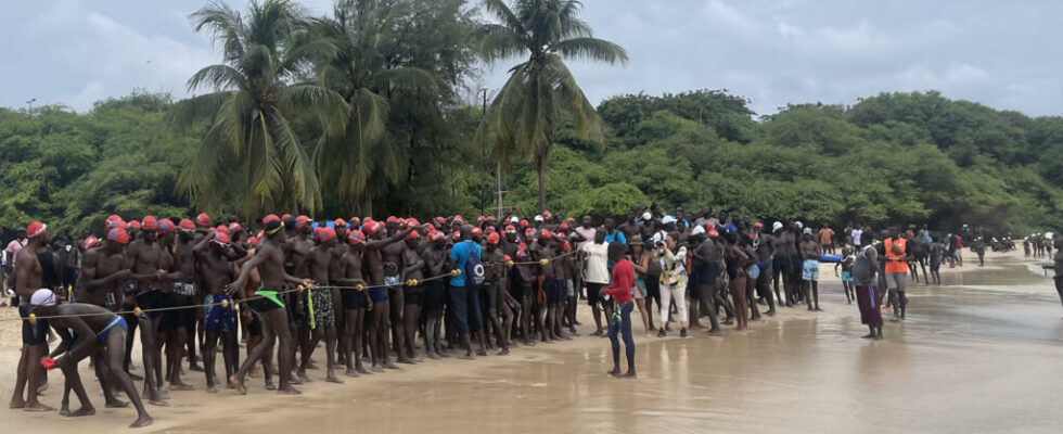 with the Dakar Goree crossing swimmers motivated above all by the